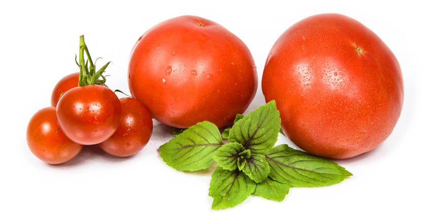 Restaurant ingrédients frais